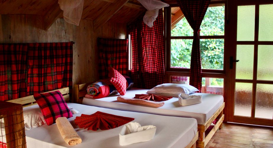 Voorbeeldkamer Banana Eco Farm